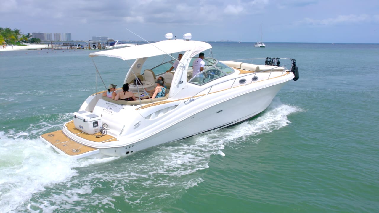 37FT SEARAY SUNDANCER CANCUN Cancún yacht rental 5