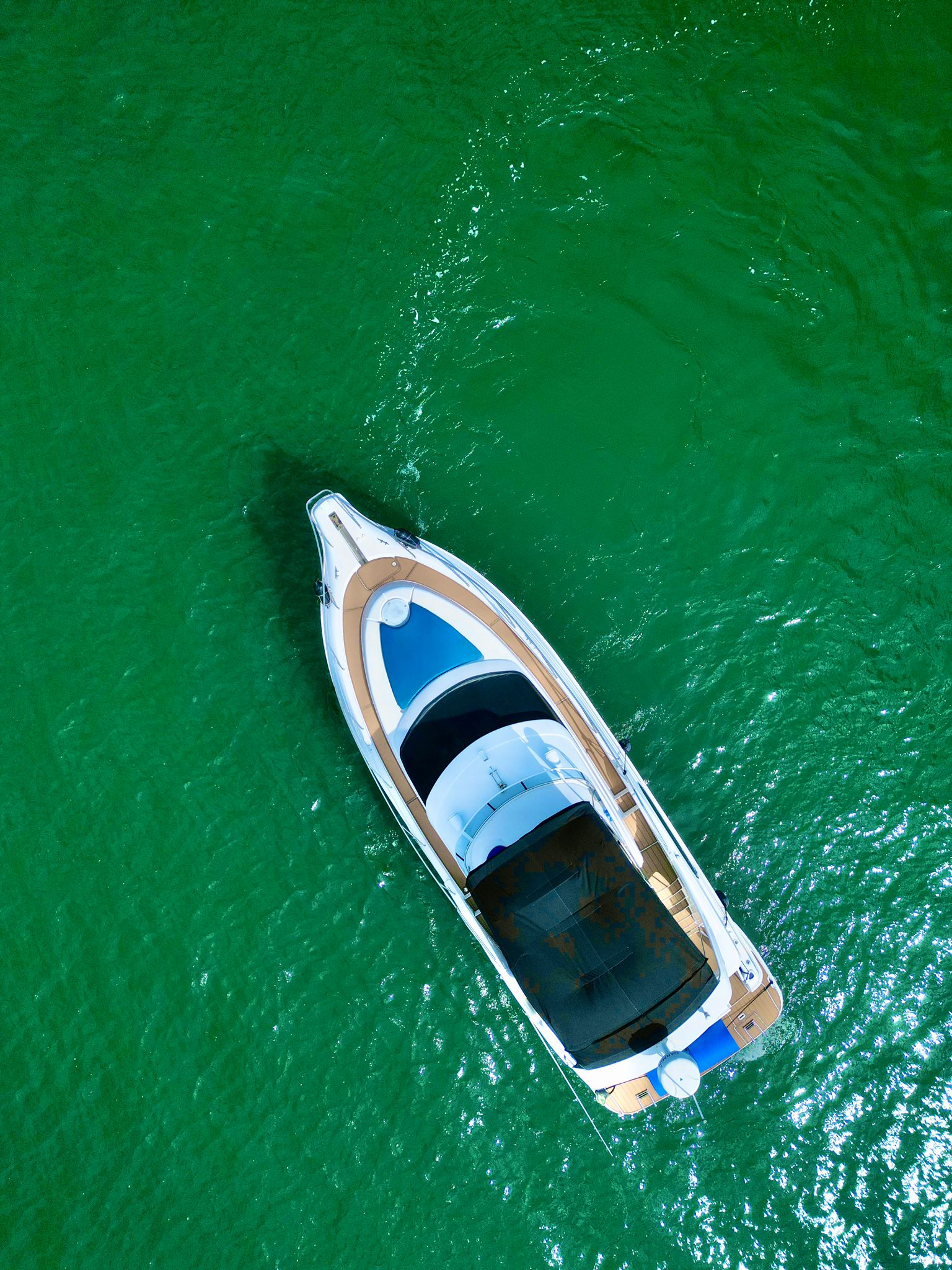48FT SILVERTON BLUE Miami yacht rental 5