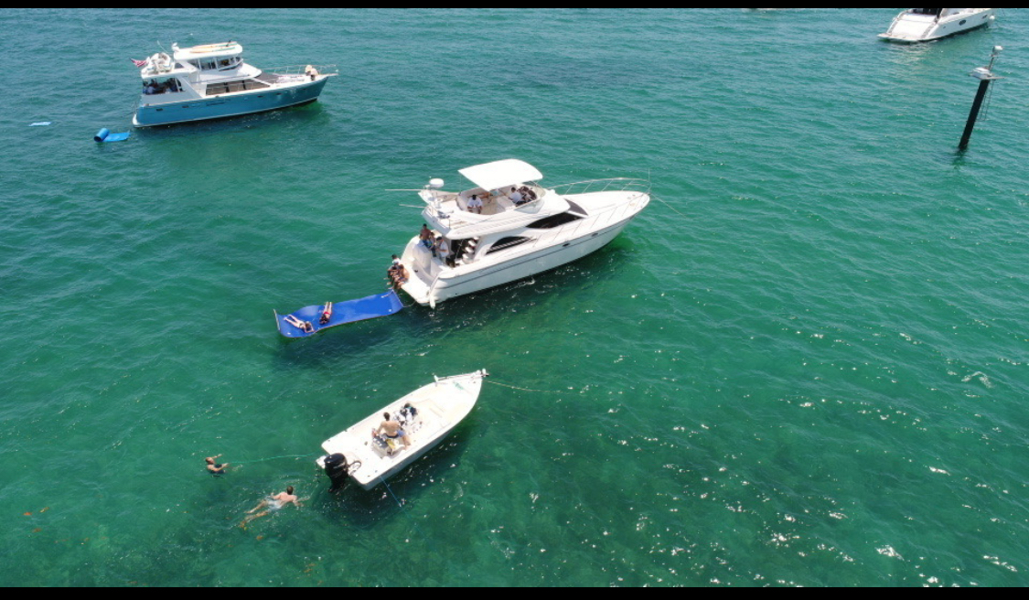 50ft Maxum Yacht in Palm Beach - BANKS rental in Miami